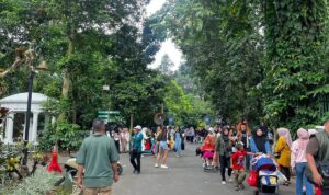 Libur Lebaran 2025, Wisata Kebun Raya Bogor Diserbu Pengunjung