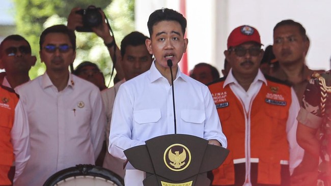 Wapres RI Gibran Rakabuming Raka (detik.com)