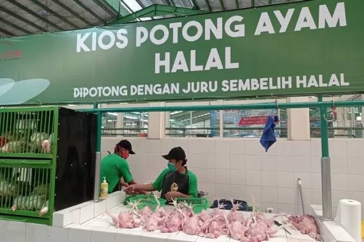 Pedagang Ayam di Pasar Tradisional Wajib Miliki Sertifikat Halal (Lambeturah.co.id)
