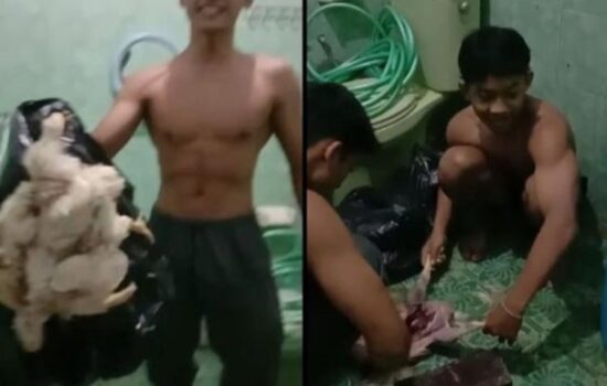 Atlet Binaraga Malang Viral Konsumsi Ayam Tiren Karena Masalah Anggaran (lambeturah.co.id)