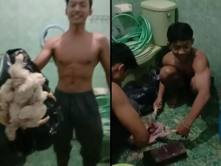 Atlet Binaraga Malang Viral Konsumsi Ayam Tiren Karena Masalah Anggaran (lambeturah.co.id)