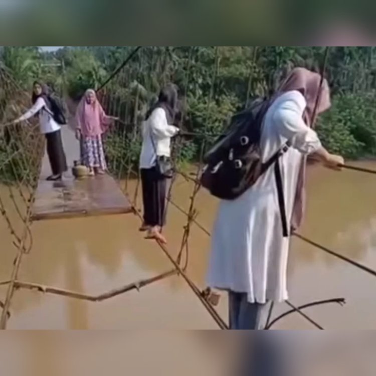 Perjuangan Ibu-Ibu Guru di Jambi Lewati Jembatan Rusak Demi Mengajar Anak Negeri (lambeturah.co.id)