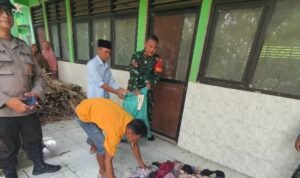Ratusan Bra Bekas Ditemukan di Bekas Sekolah di Bojonegoro (lambeturah.co.id)