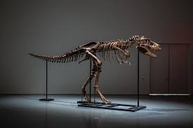 5 Negara dengan Penemuan Fosil Dinosaurus Terbanyak di Dunia