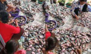 Rumah Panggung Terbakar di Sintang, Warga Sisihkan Uang Gosong Demi Bisa Ditukar ke BI (Lambeturah.co.id)