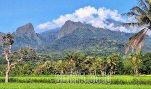 Gunung Saeng dari Desa Sumberwaru (lambeturah.co.id)