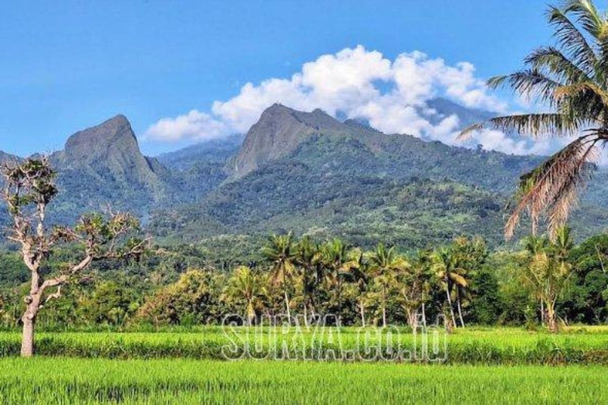 Gunung Saeng dari Desa Sumberwaru (lambeturah.co.id)
