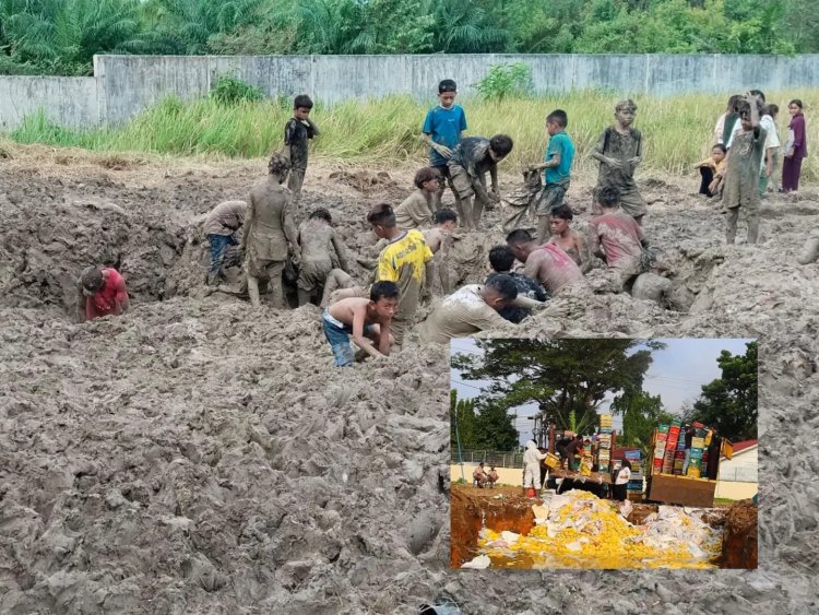 Warga Nekat Gali Mangga Ilegal yang Sudah Dimusnahkan Karantina (Lambeturah.co.id)