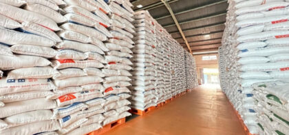 Cadangan Beras Pemerintah Capai 4 Juta Ton Berkat Harga Gabah Stabil