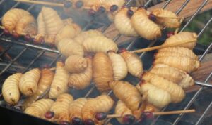 Dijamin Unik! 10 Makanan Ekstrem Asli Indonesia yang Melegenda