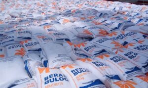 Ekspor Beras ASEAN Anjlok, Indonesia Berhasil Kuasai Produksi