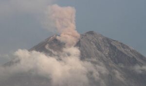 Gunung Semeru Erupsi Bertubi-Tubi, Kolom Abu Capai 800 Meter
