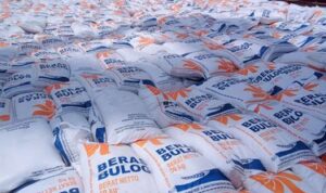 Harga Beras Dunia Turun karena Indonesia Stop Impor Beras