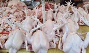 Harga Daging Ayam dan Beras Hari Ini Turun, Simak Daftarnya!
