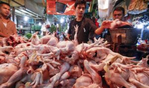 Update Harga Pangan: Cabai Tembus Rp59 Ribu, Daging Ayam Ikut Naik