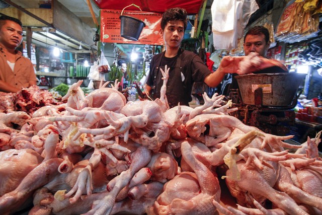 Update Harga Pangan: Cabai Tembus Rp59 Ribu, Daging Ayam Ikut Naik