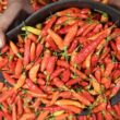 Harga Pangan Nasional Hari Ini, Cabai Rawit dan Daging Ayam Meroket