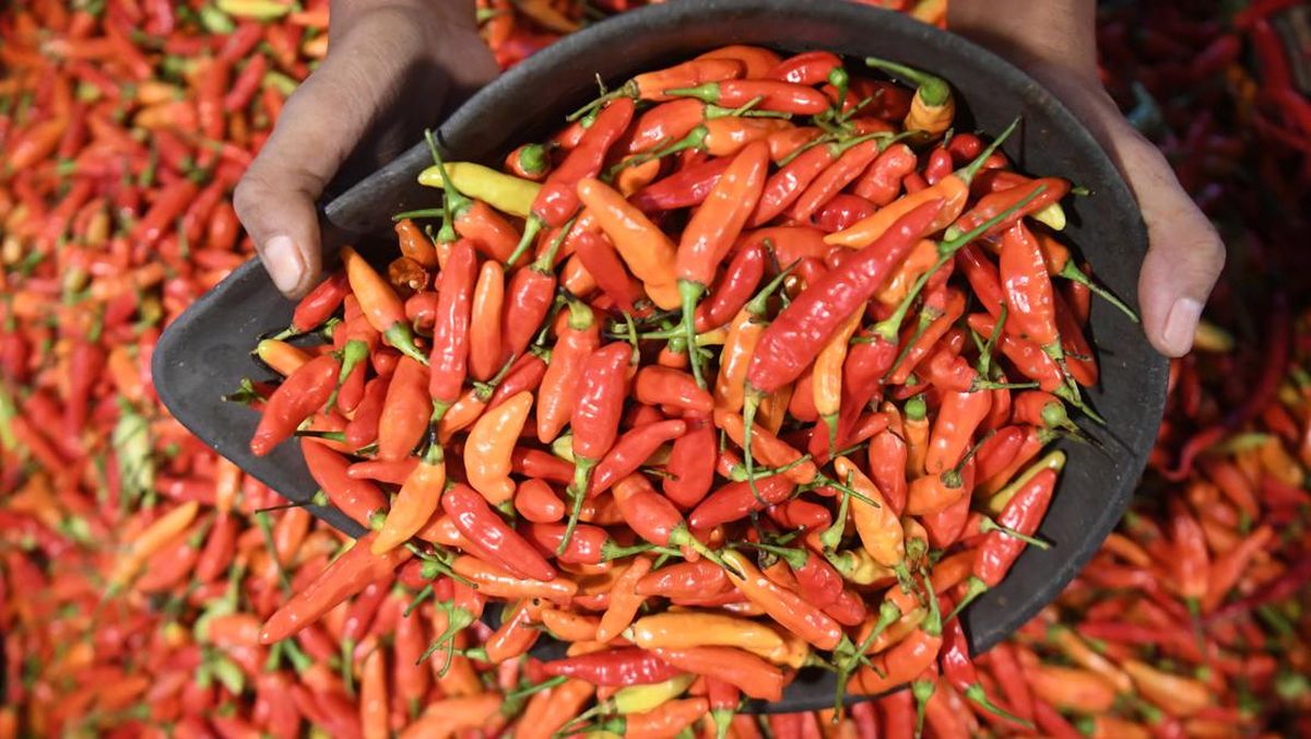 Harga Pangan Nasional Hari Ini, Cabai Rawit dan Daging Ayam Meroket