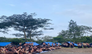 Kemah-Peduli-Lingkungan-Sekolah-KPLS-SMA-Negeri-7-Kota-Malang-adm