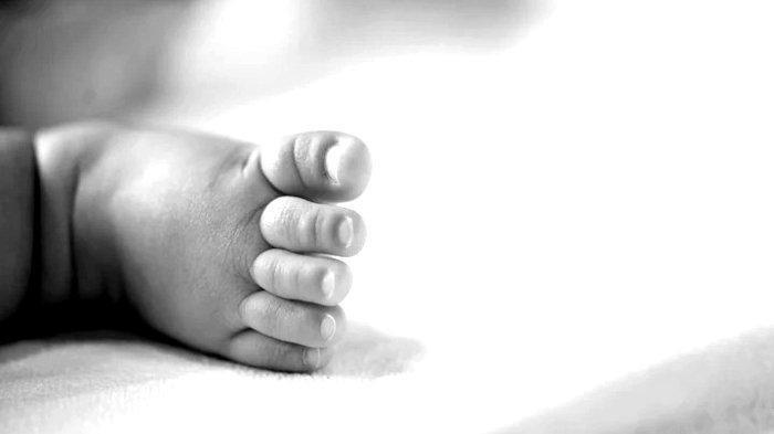 Mayat Bayi Ditemukan dalam Plastik di Labuhanbatu, Polisi Temukan Pisau dan Selang Infus