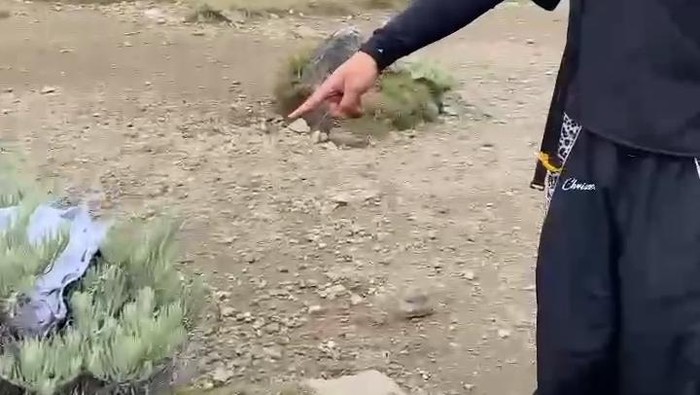 Miris! Gunung Gede Pangrango Tercemar Pendaki yang Buang Tinja dan Sampah Sembarangan