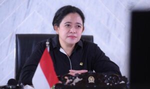 Profil Puan Maharani, Ketua DPR Perempuan Pertama dengan Harta Rp552 Miliar