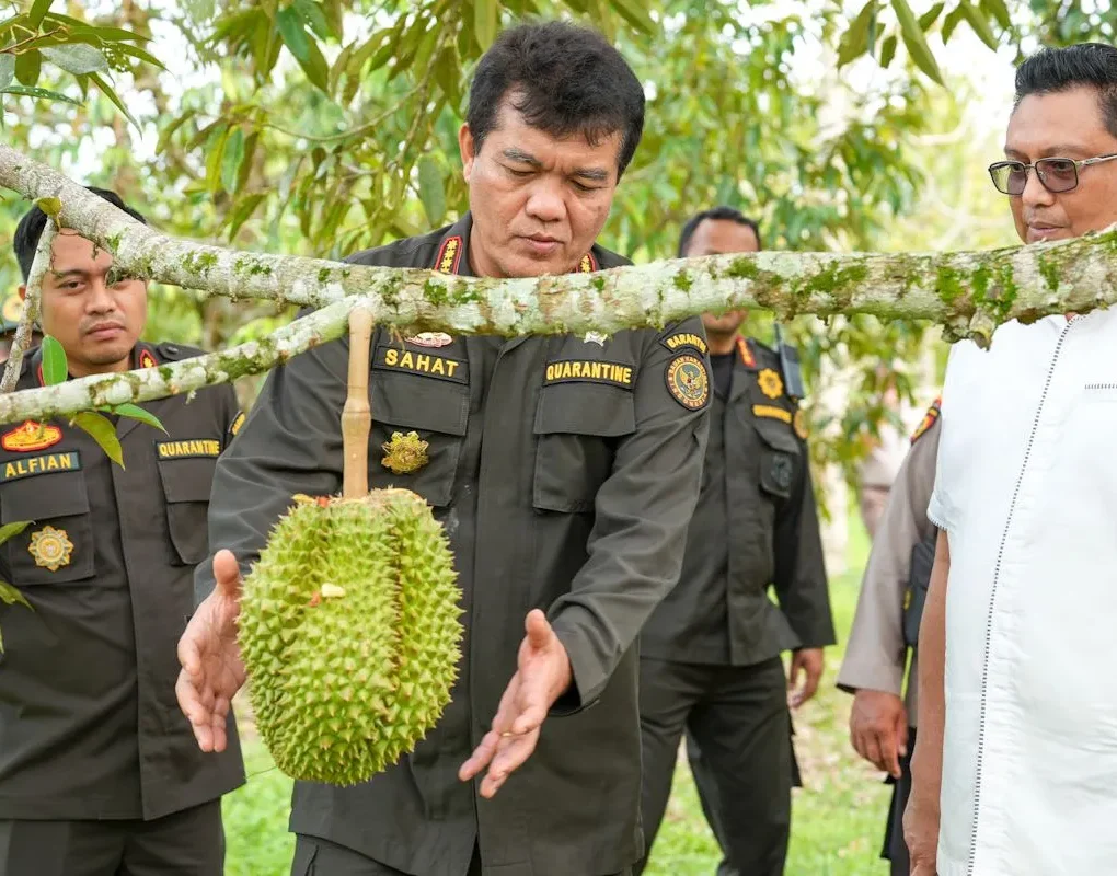Protokol Ekspor Durian Beku Disepakati, China Percaya Produk Indonesia