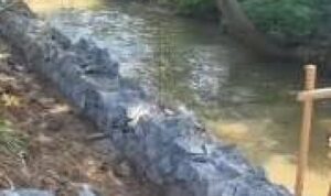 Proyek Turap Perumahan di Depok Bikin Kali Cikumpa Makin Sempit (lambeturah.co.id)
