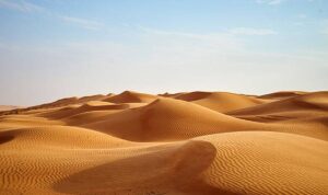 Tak Disangka, Ini 4 Fakta Kehidupan Tersembunyi di Gurun Sahara