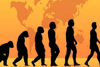 Teori Evolusi Menurut Islam, Ternyata di Al-Quran Dijelaskan Seperti ini