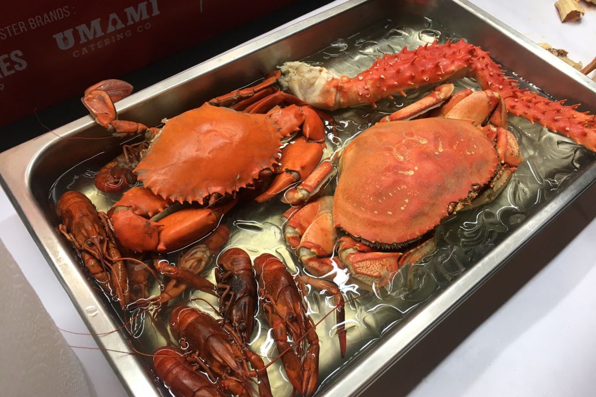 Tips Memilih Kepiting yang Segar, Padat, dan Bebas Bau Amis