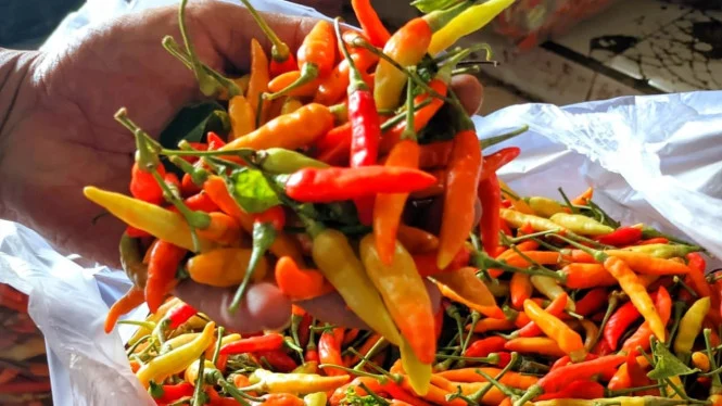 Update Harga Pangan Nasional, Cabai Rawit Merah dan Bawang Merah Turun