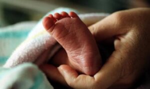 Viral Dugaan Pencabulan Bayi di Samosir, Polisi Pastikan Tidak Terbukti Setelah Visum