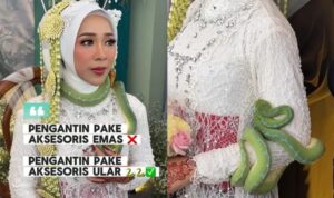 Viral! Pengantin Bawa Ular Saat Akad Nikah di Tulungagung, Bikin Heboh Tamu