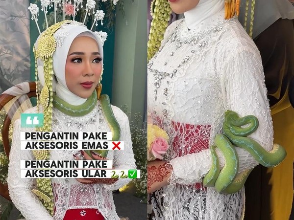 Viral! Pengantin Bawa Ular Saat Akad Nikah di Tulungagung, Bikin Heboh Tamu