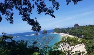 Rekomendasi Tips Liburan Nyaman dan Seru ke Jember untuk Pertama Kalinya