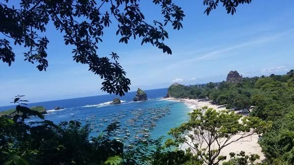 Rekomendasi Tips Liburan Nyaman dan Seru ke Jember untuk Pertama Kalinya