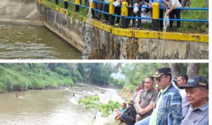 Bupati Tapsel H Gus Irawan Pasaribu saat menabur benih ikan dan meninjau pambukaan lubuk larangan di tempat berbeda, Minggu (18/5-25). Foto Kolase : BP/Ist