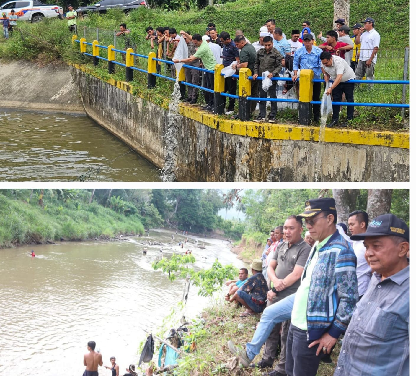 Bupati Tapsel H Gus Irawan Pasaribu saat menabur benih ikan dan meninjau pambukaan lubuk larangan di tempat berbeda, Minggu (18/5-25). Foto Kolase : BP/Ist