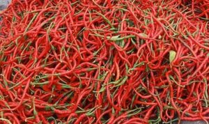 Update Harga Pangan Nasional: Bawang Merah dan Cabai Merah Alami Penurunan