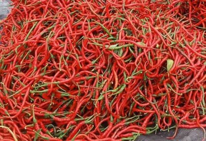 Update Harga Pangan Nasional: Bawang Merah dan Cabai Merah Alami Penurunan