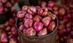 Update Harga Bahan Pokok: Bawang Merah, Daging Ayam, dan Minyak Goreng Turun