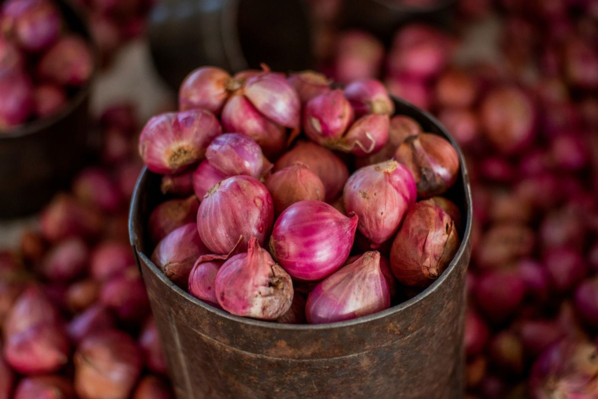 Update Harga Bahan Pokok: Bawang Merah, Daging Ayam, dan Minyak Goreng Turun