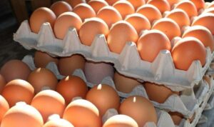 Update Harga Pangan Terbaru: Telur Ayam, Beras, dan Minyak Goreng Alami Fluktuasi