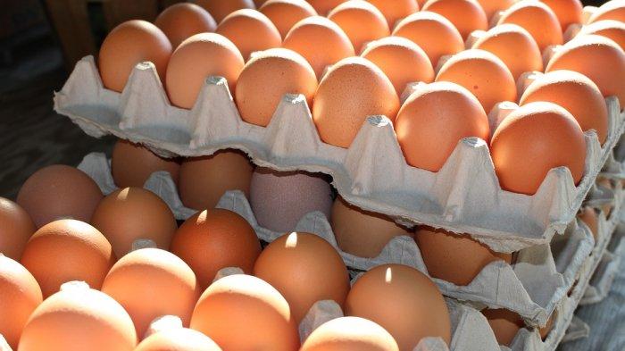 Update Harga Pangan Terbaru: Telur Ayam, Beras, dan Minyak Goreng Alami Fluktuasi