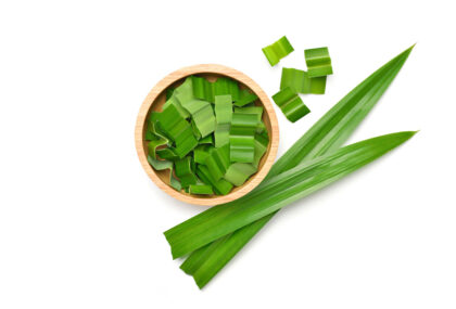 daun pandan (biofarma.co.id)