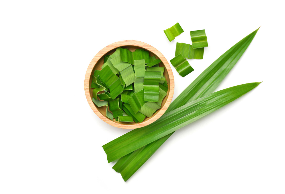 daun pandan (biofarma.co.id)