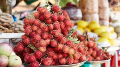 Ilustrasi rambutan (detik.com)