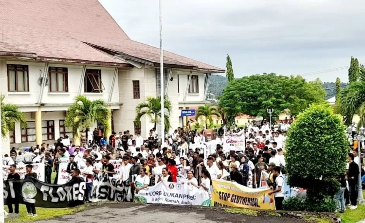 Aliansi Peduli Lingkungan Hidup Demo (Lambeturah.co.id)
