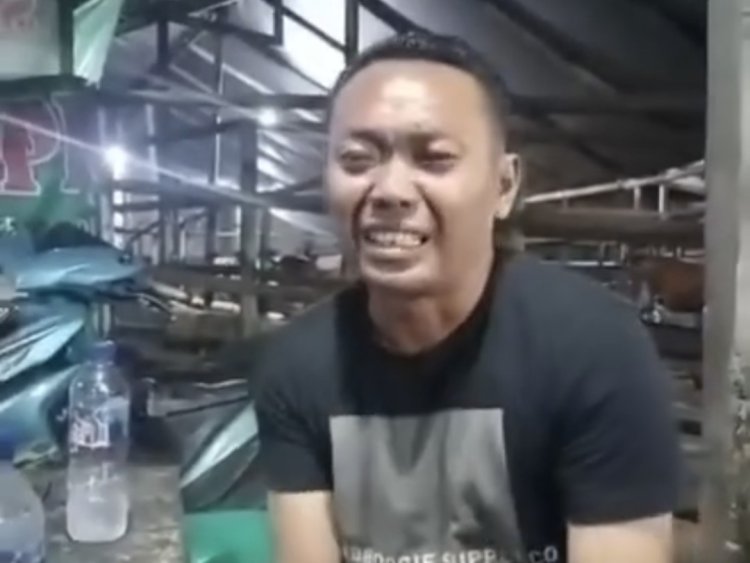 Pedagang hewan ternak menangis (Lambeturah.co.id)